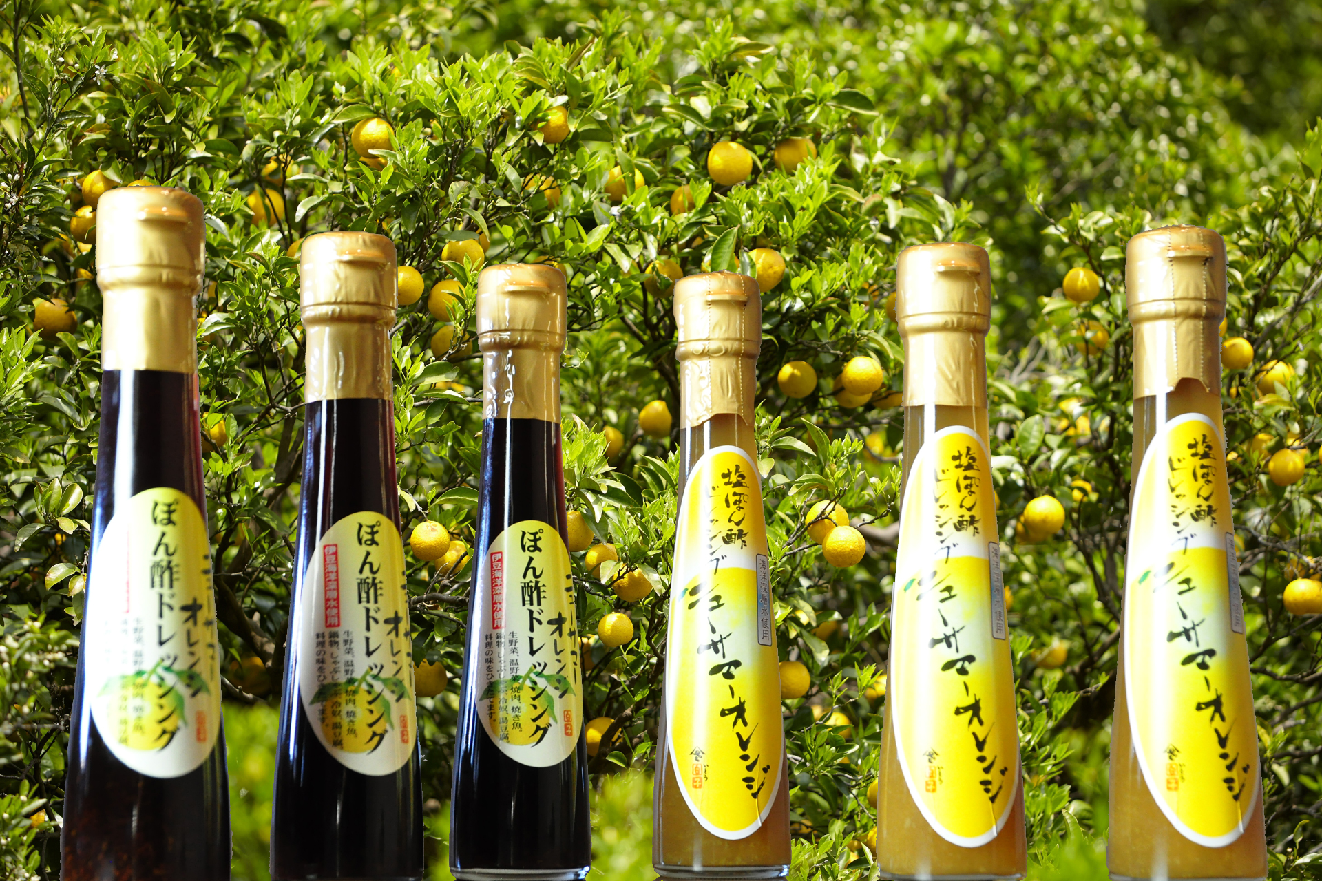 売店新商品 ニューサマーオレンジドレッシング２種 くつろぎ日和 伊東遊季亭 くつろぎ便り